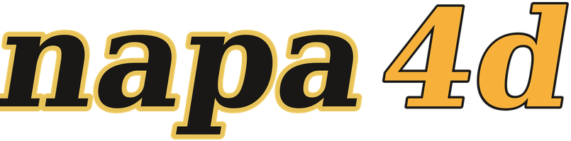napa4d logo